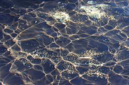 Blaues Wasser
